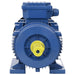 Motor electric trifazic aluminiu 2,2kW/3CP 2 poli 2840 RPM - WALTI WALTI