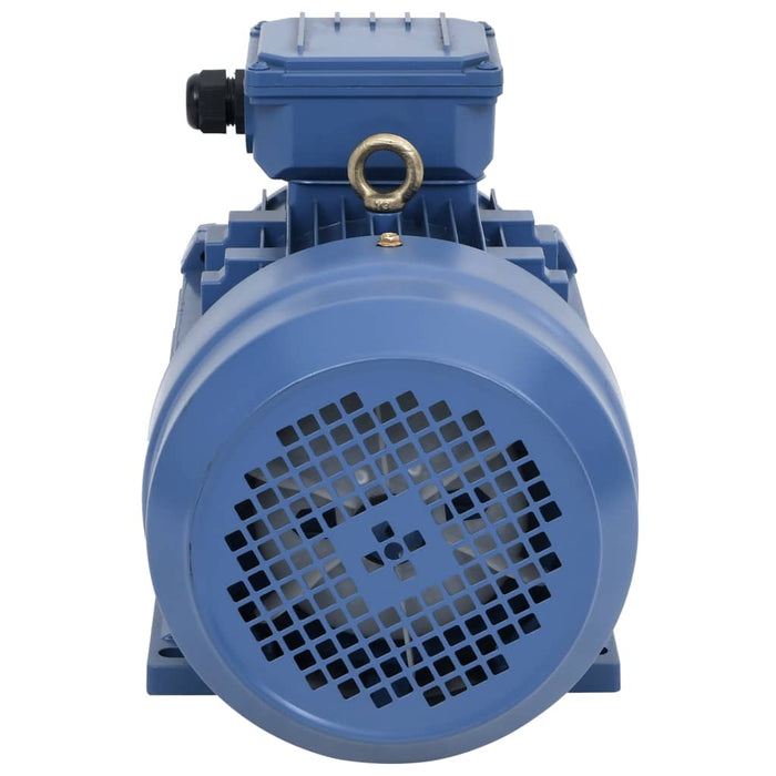 Motor electric trifazic aluminiu 3kW/4CP 2 poli 2840 RPM - WALTI WALTI