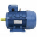 Motor electric trifazic aluminiu 3kW/4CP 2 poli 2840 RPM - WALTI WALTI