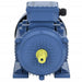 Motor electric trifazic aluminiu 3kW/4CP 2 poli 2840 RPM - WALTI WALTI