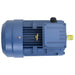 Motor electric trifazic aluminiu 3kW/4CP 2 poli 2840 RPM - WALTI WALTI