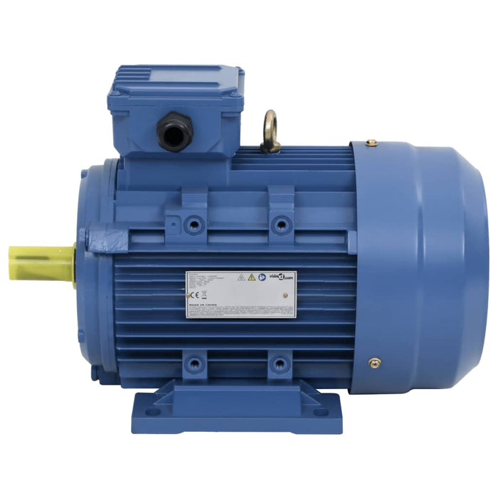 Motor electric trifazic aluminiu 4kW/5,5CP 2 poli 2840 RPM - WALTI WALTI