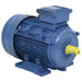 Motor electric trifazic aluminiu 4kW/5,5CP 2 poli 2840 RPM - WALTI WALTI