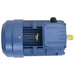 Motor electric trifazic aluminiu 4kW/5,5CP 2 poli 2840 RPM - WALTI WALTI