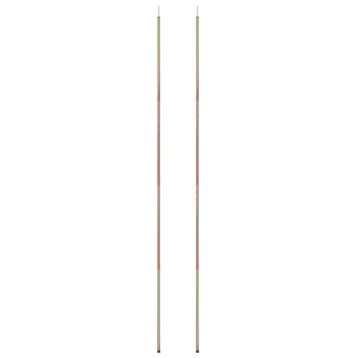 Stâlpi pentru parasolar, 2 buc., 200 cm, oțel zincat - WALTI WALTI