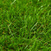 Gazon artificial, verde, 1 x 5 m/40 mm - WALTI WALTI