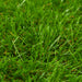 Gazon artificial, verde, 1 x 15 m/40 mm - WALTI WALTI