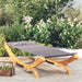 Pat de exterior, antracit, 100x188,5x44 cm, lemn masiv curbat - WALTI WALTI