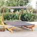 Pat de exterior cu baldachin antracit 165x203x138 cm lemn masiv - WALTI WALTI