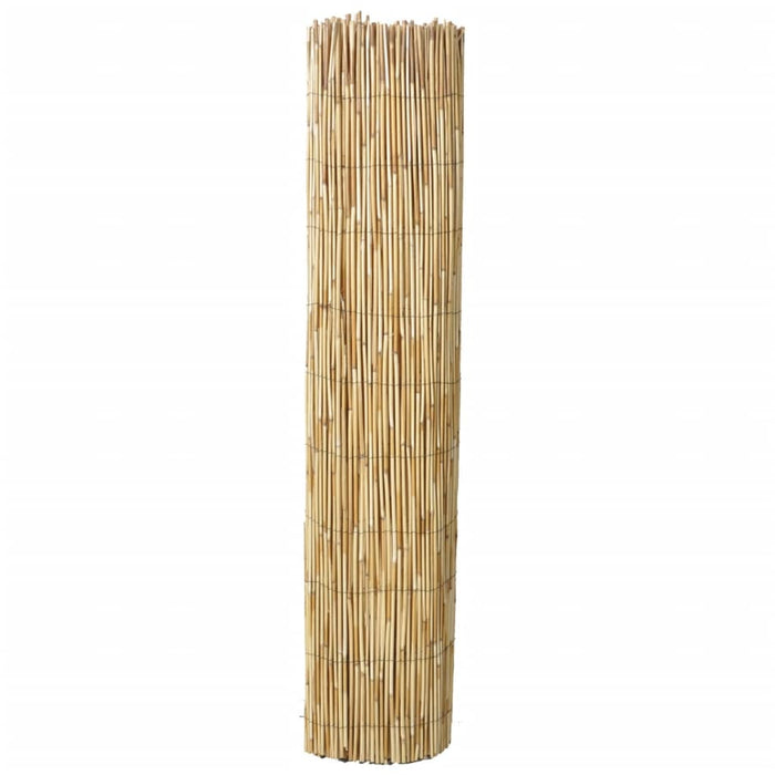 Garduri de trestie, 2 buc., 150x500 cm WALTI