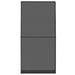 Ecran pentru Insecte cu Hinge Antracit și negru 120 x 240 cm - WALTI WALTI