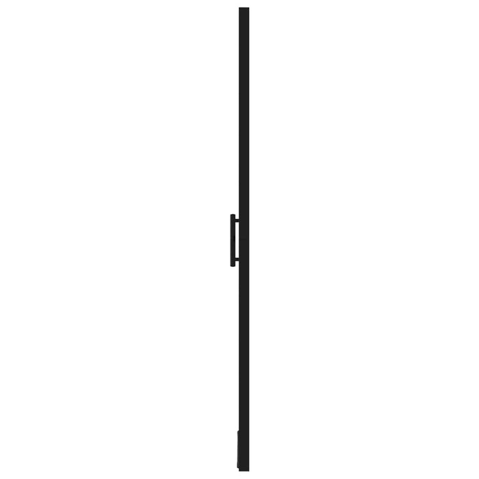Ușă de duș, negru, 100 x 178 cm, sticlă securizată - WALTI WALTI