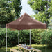 Acoperiș pentru cort de petrecere, maro, 2 x 2 m, 270 g/m² - WALTI WALTI