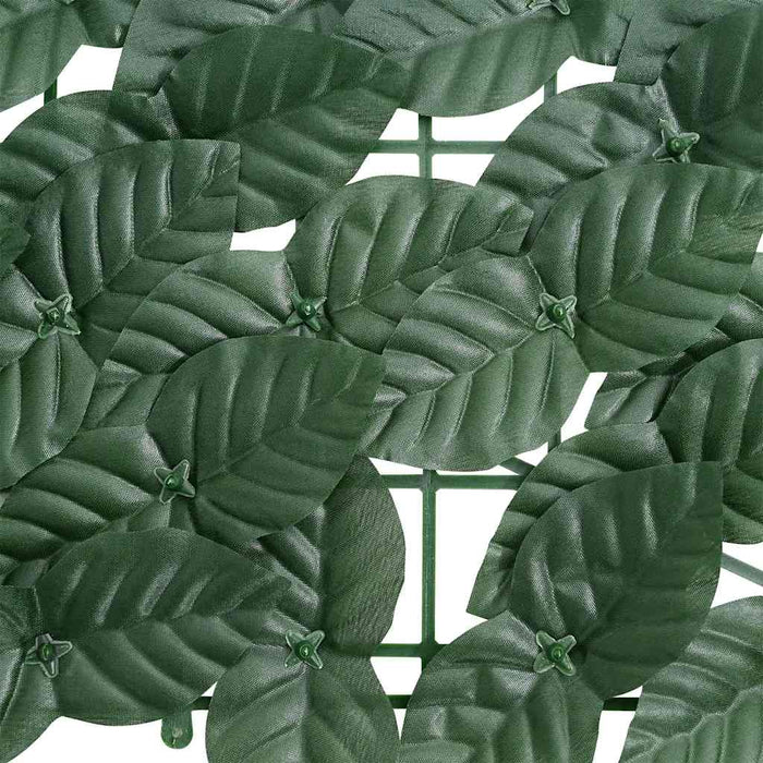 Paravan de balcon, frunze verde închis, 600x100 cm WALTI
