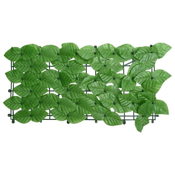 Paravan de balcon, frunze verzi, 300x150 cm WALTI