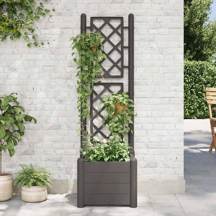Jardinieră de grădină cu spalier, antracit, 43x43x142 cm, PP - WALTI WALTI