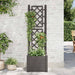 Jardinieră de grădină cu spalier, antracit, 43x43x142 cm, PP - WALTI WALTI