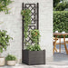 Jardinieră de grădină cu spalier, antracit, 43x43x142 cm, PP - WALTI WALTI