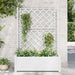 Jardinieră de grădină cu spalier, alb, 100 x 43 x 142, PP - WALTI WALTI