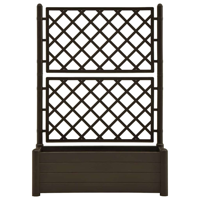 Jardinieră de grădină cu spalier, cafeniu, 100 x 43 x 142 cm PP - WALTI WALTI