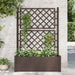 Jardinieră de grădină cu spalier, cafeniu, 100 x 43 x 142 cm PP - WALTI WALTI