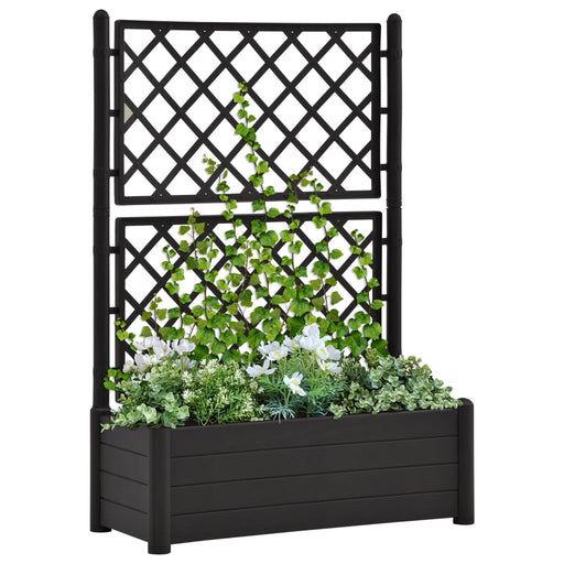 Jardinieră de grădină cu spalier, antracit, 100x43x142, PP - WALTI WALTI