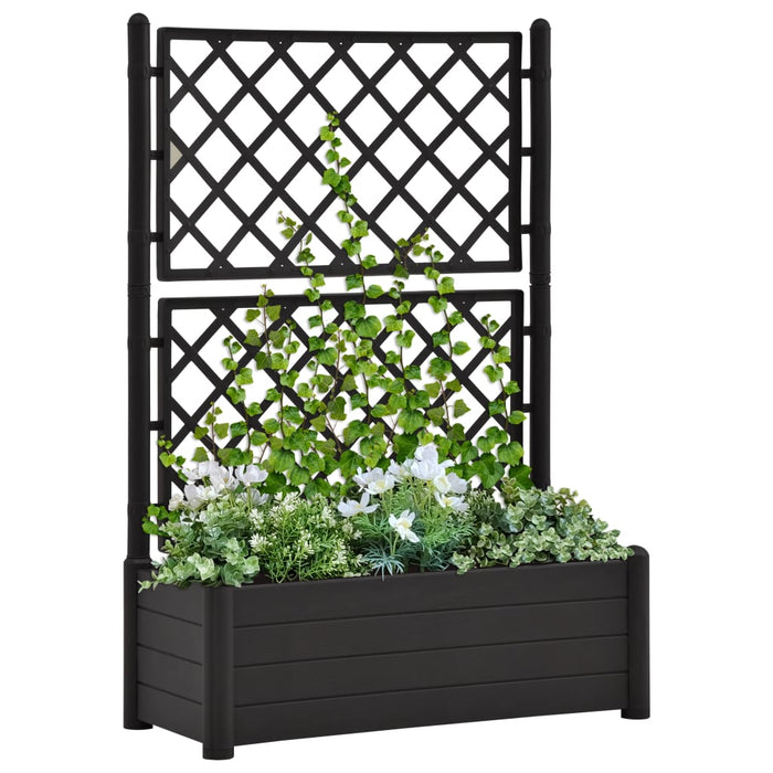 Jardinieră de grădină cu spalier, antracit, 100x43x142, PP - WALTI WALTI