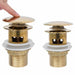 Ventil scurgere push, funcție de preaplin, auriu 6,4x6,4x9,1 cm - WALTI WALTI