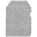 Comode TV cu lumini LED, 2 buc., gri beton, 75x35x40 cm - WALTI WALTI