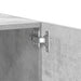 Comodă TV, gri beton, 100x35x40 cm, lemn prelucrat - WALTI WALTI