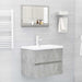 Dulap de baie cu oglindă, gri beton, 60 x 10,5 x 37 cm, PAL - WALTI WALTI