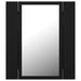 Dulap de baie cu oglindă & LED, negru, 40x12x45 cm, acril - WALTI WALTI