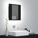 Dulap de baie cu oglindă & LED, negru, 40x12x45 cm, acril - WALTI WALTI
