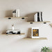 Plăci bibliotecă, 4 buc, stejar sonoma, 60 x 30 x 1,5 cm, PAL - WALTI WALTI