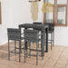 Set bar exterior cu cotieră, 5 piese, gri, poliratan - WALTI WALTI