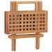 Set mobilier exterior pliabil cu perne, 3 piese, lemn masiv tec - WALTI WALTI