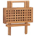 Set mobilier exterior pliabil cu perne, 3 piese, lemn masiv tec - WALTI WALTI