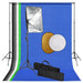 Set studio foto cu lumini softbox, fundal și reflector - WALTI WALTI