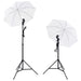 Set studio foto cu lămpi, umbrele, fundal și reflector - WALTI WALTI