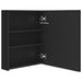 Dulap de baie cu oglindă și LED, negru strălucitor, 50x14x60 cm - WALTI WALTI