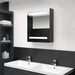 Dulap de baie cu oglindă și LED, antracit, 50x14x60 cm - WALTI WALTI