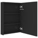Dulap de baie cu oglindă și LED, negru strălucitor, 50x13x70 cm - WALTI WALTI