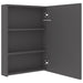 Dulap de baie cu oglindă și LED, gri, 50x13x70 cm - WALTI WALTI