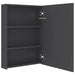 Dulap de baie cu oglindă și LED, gri strălucitor, 50x13x70 cm - WALTI WALTI
