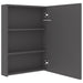 Dulap de baie cu oglindă și LED, gri, 50x13x70 cm - WALTI WALTI