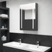 Dulap de baie cu oglindă și LED, gri, 50x13x70 cm - WALTI WALTI