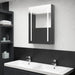Dulap de baie cu oglindă și LED, gri strălucitor, 50x13x70 cm - WALTI WALTI