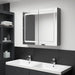 Dulap de baie cu oglindă și LED, gri, 80x12x68 cm - WALTI WALTI