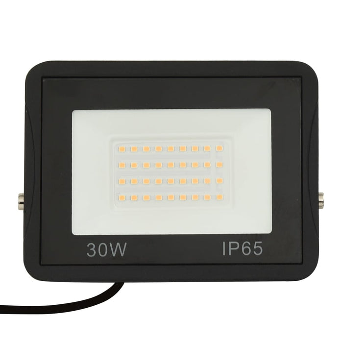 Proiector cu LED, 30 W, alb rece - WALTI WALTI