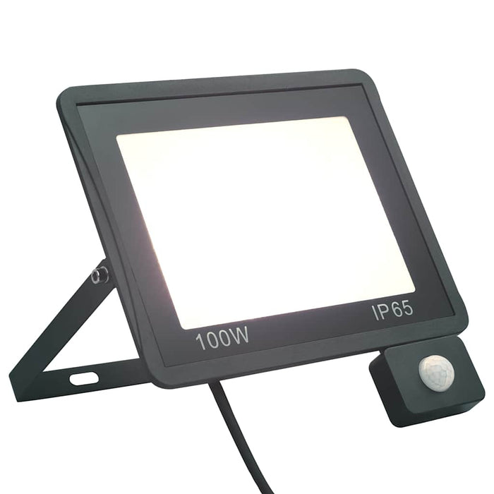 Proiector LED cu senzor, 100 W, alb rece - WALTI WALTI